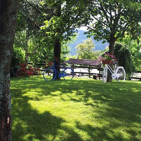 Ristorante Primula Bianca 2*