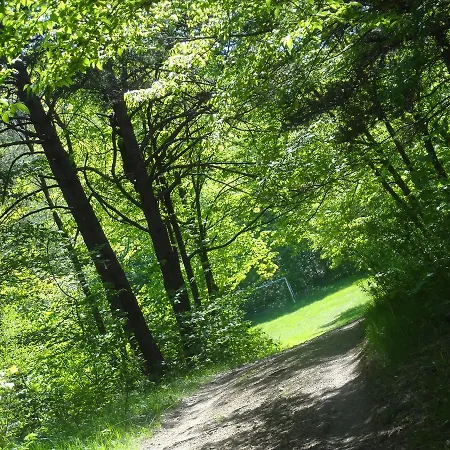 Ristorante Primula Bianca Варци